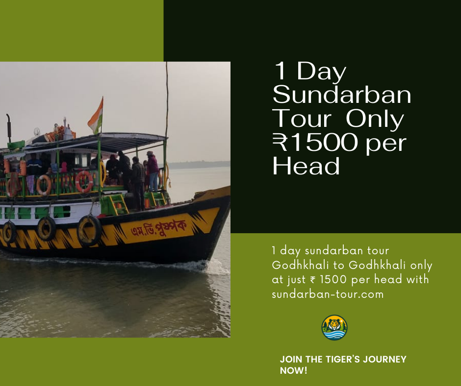 1 Day Sundarban Tour Package