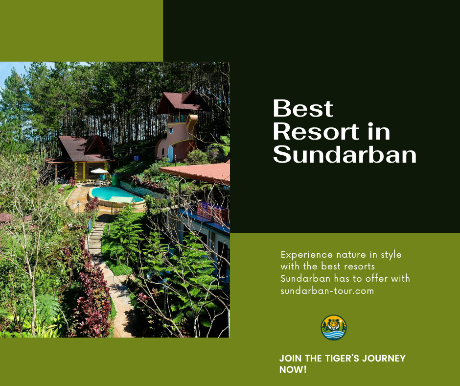 Best Resort in Sundarban