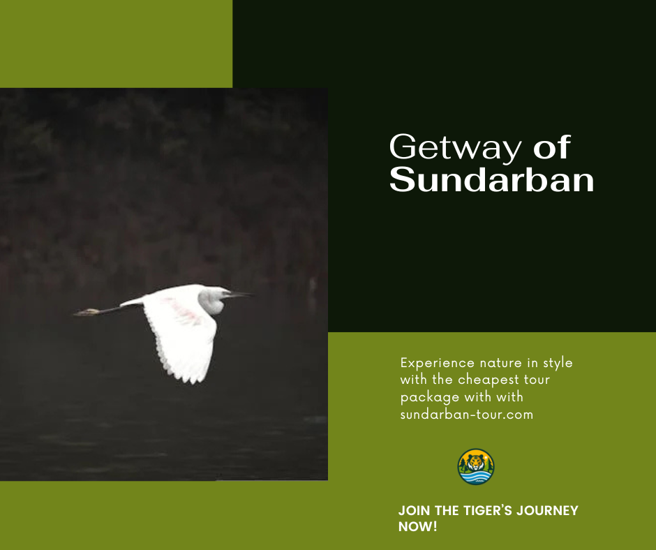 Get way of Sundarban