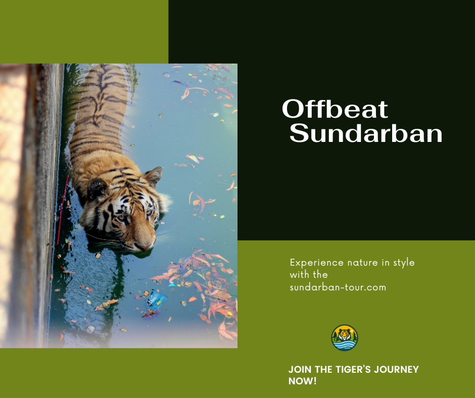 Offbeat Sundarban