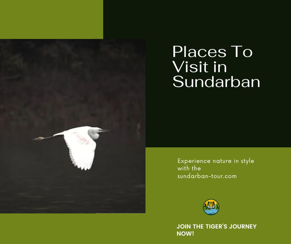 Places to Visit in Sundarban