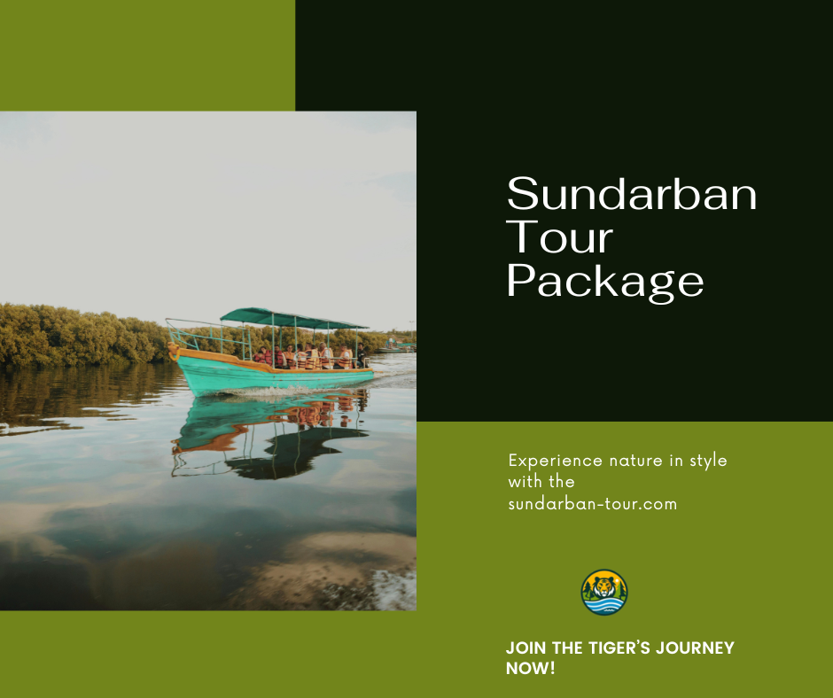 Sundarban Tour Package Price