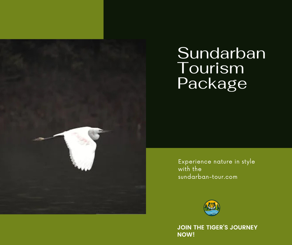 Sundarban Tourism Package