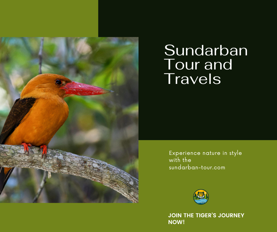 Sundarban Tour and Travels