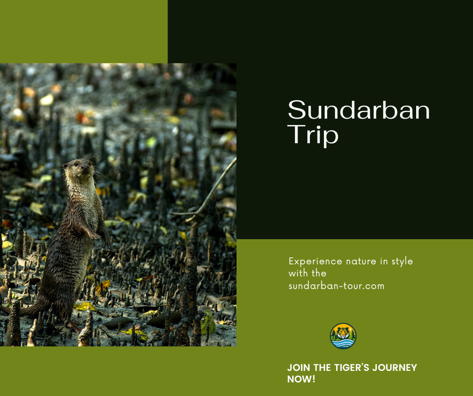 Sundarban Trip 