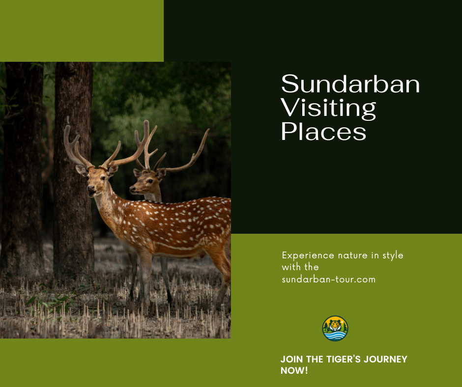 Sundarban Visiting Places 