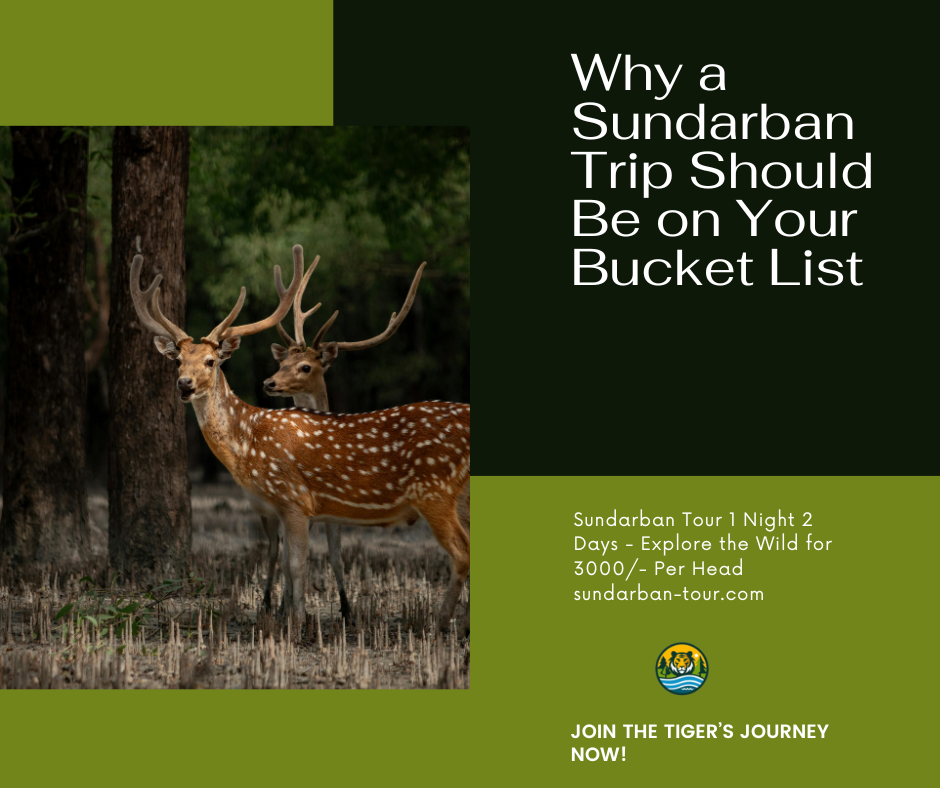 Best Sundarban Tour Package