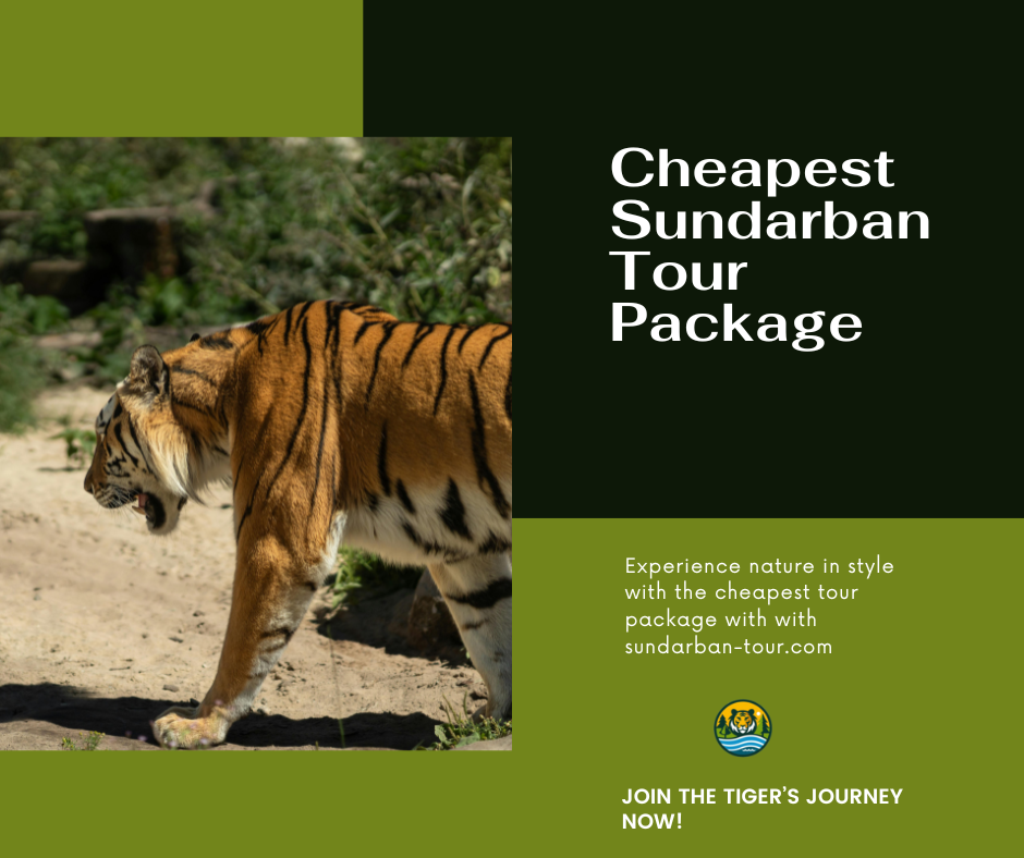 Cheapest Sundarban tour Package