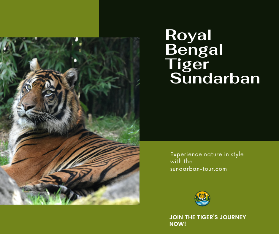 Royal Bengal Tiger