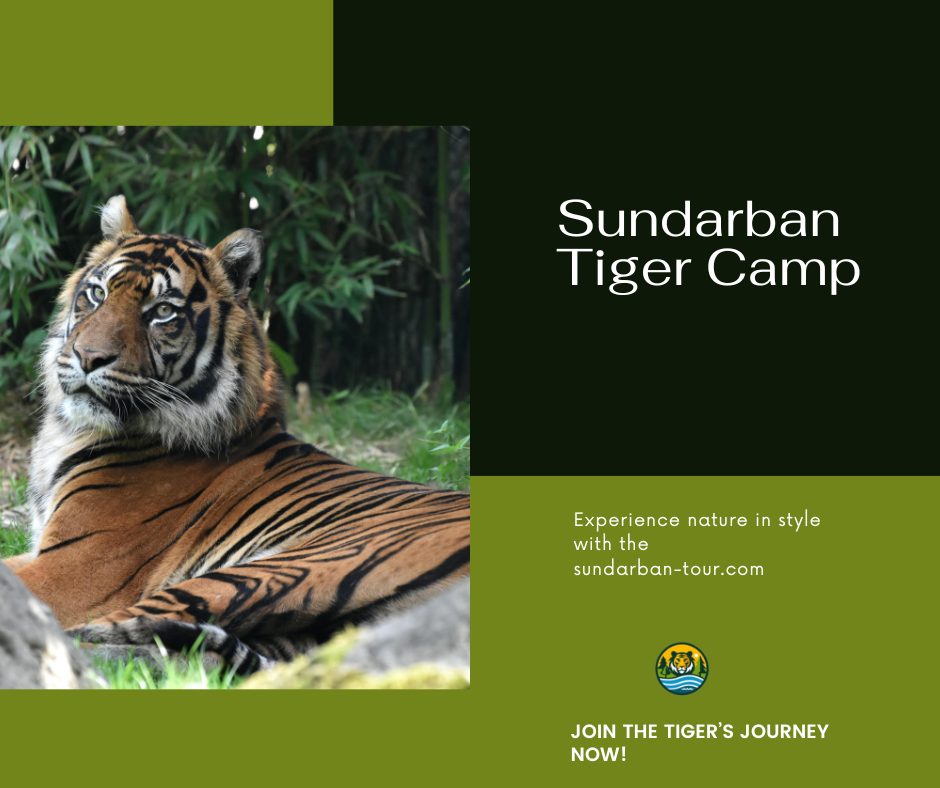 Sundarban Tiger Camp