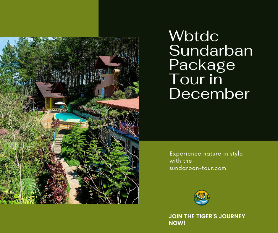 wbtdc sundarban package tour in December